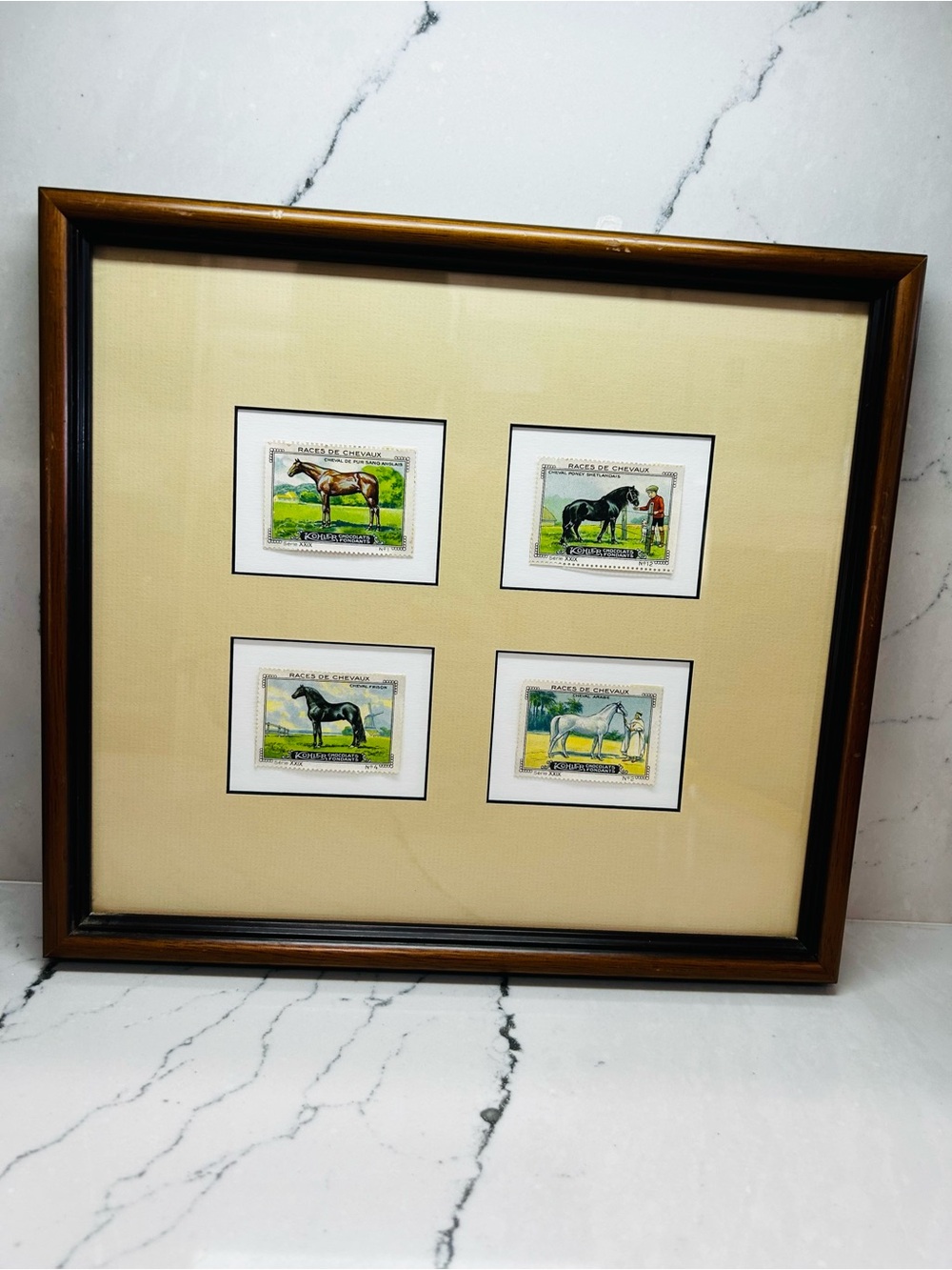 Framed Horse Stamp Collage